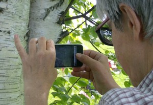 iphone im Wald 1 - by Lisa Rosa 620x424